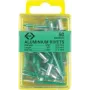 C.K Tools T3819A 508 sokeaniitit 4,8 x 19 mm alumiini/teräs kupukanta (50 kpl)