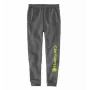 Carhartt Graphic Jogger -verryttelyhousut