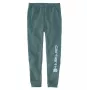 Carhartt Graphic Jogger -verryttelyhousut