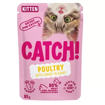 CATCH Kitten Poultry and Carrot in Gravy - märkäruoka kissoille - 85g