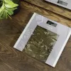 Cecotec henkilövaaka Surface Precision Healthy enimmäispaino 180 harmaa/läpinäkyvä