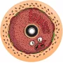 Chubby Wheel 110mm Burger Boy potkulautapyörä - 88A uretaani, alumiiniydin