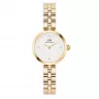 DANIEL WELLINGTON Petite Melrose naisten kello 22 mm ruusukulta mesh-ranneke DW00100715