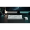 Dark Project ALU81A Terra Nova White mekaaninen näppäimistö, G3MS Moonstone Switch, US ANSI