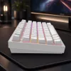 Dark Project Terra Nostra G3MS Moonstone Switch, RU valkoinen