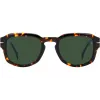 DAVID BECKHAM DB-7098-S-86 aurinkolasit havanna vihreä 51 mm