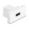 Delock Easy 45 -moduuli EASY-USB 2.0 Type-A naaras - EASY-USB Type-A naaras valkoinen 90866