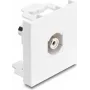 Delock Easy 45 -moduuli RCA naaras RCA naaras valkoinen 91816