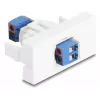 Delock Easy 45 -moduuli liitinrima valkoinen (90912)