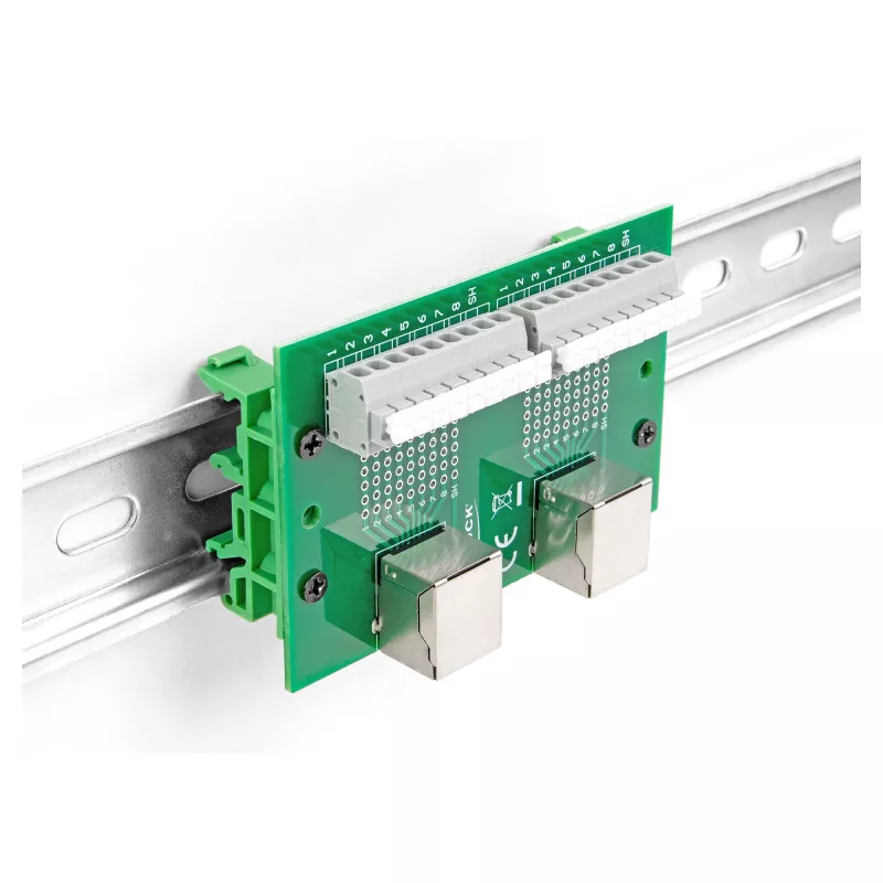 Delock RJ45 2 x naaras 2 x liitinrimaan painonapilla DIN-kiskoon (66994)