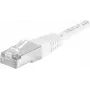 DEXLAN Cat6a SFTP -patchkaapeli RJ45 RJ45 5 m valkoinen valettu 10 Gbps 858365