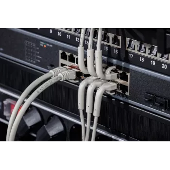 DIGITUS CAT 6A F/FTP kulma RJ-45 patch-kaapeli, kupari, 0,3 m, harmaa, 10 kpl:n pakkaus