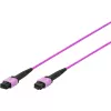 DIGITUS OM4 MPO-MPO 12-kuituinen patch-kaapeli, 2m, menetelmä A, violetti DK-2566-02/4