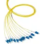 EFB Elektronik kuitu-pigtail LC 62.5/125 OM1 sininen 2 m