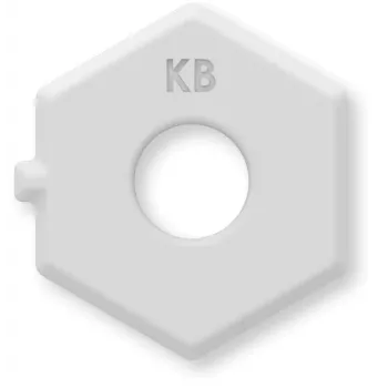 eQ-3 Homematic IP -nuppiadapteri BKS HmIP-ADA-DL-KB