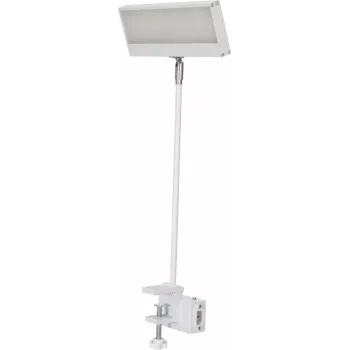 EUROLITE LED KKL-40 valonheitin 3CT valkoinen 41600600