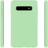 Evelatus Samsung Galaxy S10+ nano-silikonikotelo Soft Touch TPU minttu