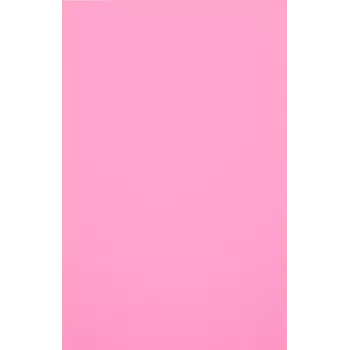 Evelatus universaali Color Shinning -kalvo näytönleikkuriin vaaleanpunainen (50 arkkia)