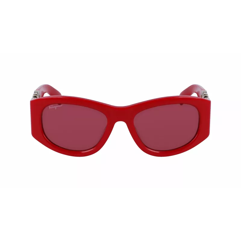 Ferragamo SF1082S aurinkolasit naisten 531960 53/19/120 mm