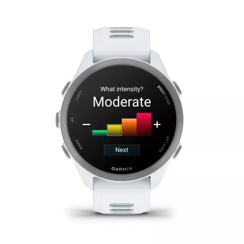 Garmin Forerunner 170 Music, Whitestone rannekkeella Whitestone/Cloud Blue