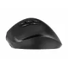 Gembird MUSW3-9B-01 kolmitilainen langaton ergonominen hiiri (2,4 GHz + Bluetooth + USB-C), 2400 DPI, 9 painiketta, musta