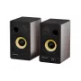 GENESIS ARSEN 502BT 2-tie pronssi langallinen ja langaton 60 W