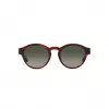 GIORGIO ARMANI naisten aurinkolasit AR8146-596271 Havana asetaatti vihreä liukuväri 50/15/145 mm