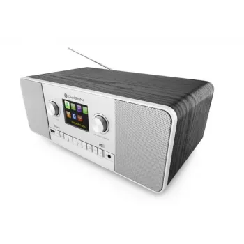 GoGen IR 257 BTDAB internet-digitaaliradio, hopea