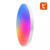 Gosund LB11 älykäs kattovalaisin 32cm WiFi Bluetooth RGBCW 1920lm Tuya + kaukosäädin