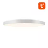 Gosund LB11 älykäs kattovalaisin 32cm WiFi Bluetooth RGBCW 1920lm Tuya + kaukosäädin