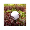 Greenblue GB121 LED-jalkavalaisin ulkokäyttöön, musta