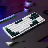 Keychron Q3 HE QMK 80% langaton custom-mekaaninen näppäimistö (Nebula Switch) - Shell White