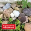 KOSMOS Die drei ??? salainen kätkö etsiväsarja metallilaatikossa