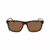 Lacoste miesten aurinkolasit L6025S-219 Havana vihreä 56 mm