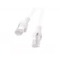 Lanberg PCU6-10CC-0050-W Cat6 U/UTP verkkokaapeli 0,5m valkoinen
