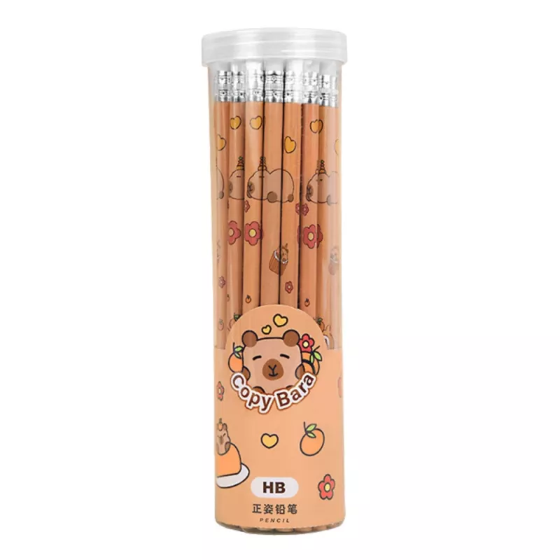 LEAN setti 30 HB grafiittikynää ja Capybara-pyytkin putkessa