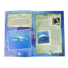 LEAN TOYS Ammonite Shark kaivaus opetussarja