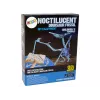 LEAN TOYS arkeologia kaivaussarja dinosauruksen luuranko Pteranodon 3D-hologrammi