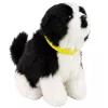 LEAN TOYS interaktiivinen pehmokoira pehmeällä turkilla, bordercollie-rotu