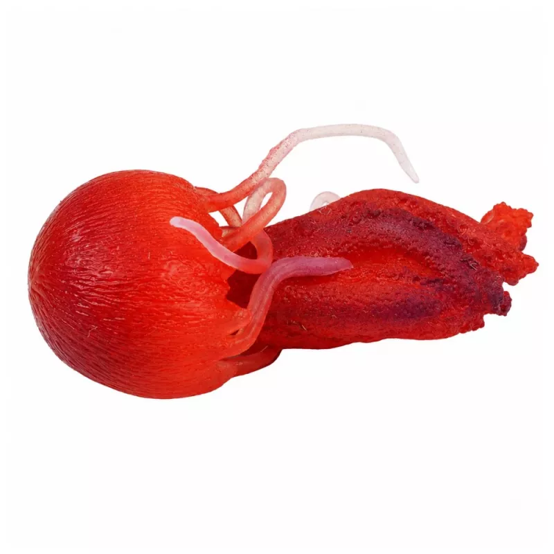 LEAN TOYS meduusa kumihahmo venyvä realistinen merieläin 9 cm