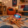 LEAN TOYS hämähäkki tarantula kumihahmo venyvä realistinen 12 cm