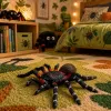 LEAN TOYS hämähäkki tarantula kumihahmo venyvä realistinen musta 10 cm