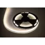 LED-valonauha 25m Rebel 300x5050 SMD neutraali valkoinen vedenpitävä 12V