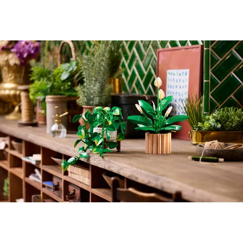 LEGO BOTANICALS 11512 Hängender Drachen-Efeu rakennussarja