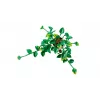 LEGO BOTANICALS 11512 Hängender Drachen-Efeu rakennussarja