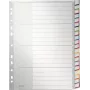 LEITZ A4 erittäin leveä blanko muovirekisteri, 20-osainen, universaalirei'itys, läpikuultava valkoinen 1278-00-00