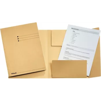 LEITZ Esselte lakikansio, DIN A4, manilakartonki, 275 g/m², chamois 3 läpällä pohjaläpässä, viivapainatus etukannessa, 50 kpl (1033304)