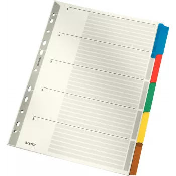 LEITZ Mylar kartonki-rekisteri, blanko, A4, 5-osainen, harmaat välilehdet, 160 g/m², merkittävällä kansilehdellä 4320-00-00