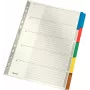 LEITZ Mylar kartonki-rekisteri, blanko, A4, 5-osainen, harmaat välilehdet, 160 g/m², merkittävällä kansilehdellä 4320-00-00