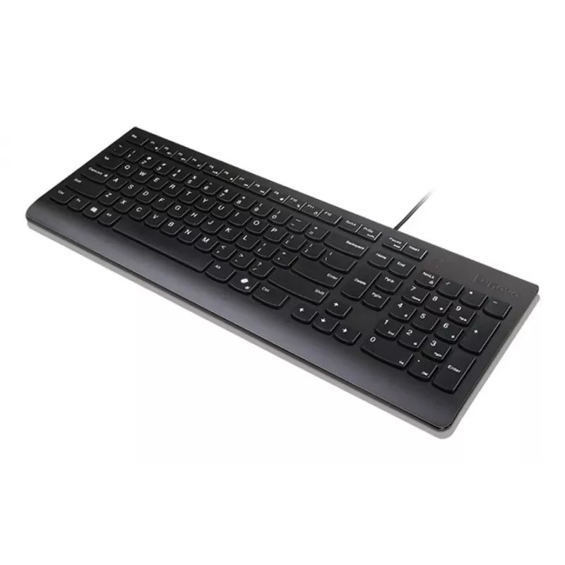 Lenovo Essential Keyboard - 2.5-Zone Layout - Wired USB - QWERTZ - Deutsch - Raven Black